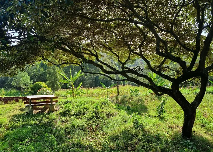 Karen Little Paradise, Eco Garden Hotel & Farm Nairobi